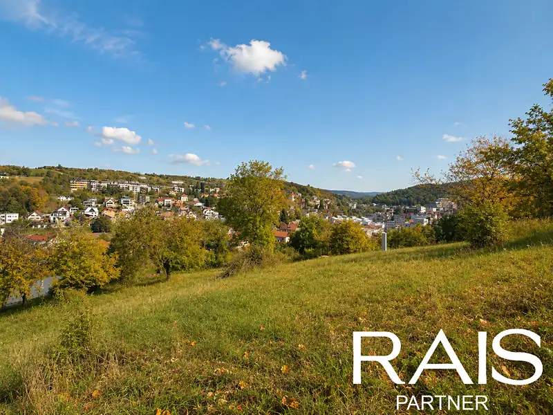 Prodej louky 1834 m², Pozlovice – náhled fotky 2