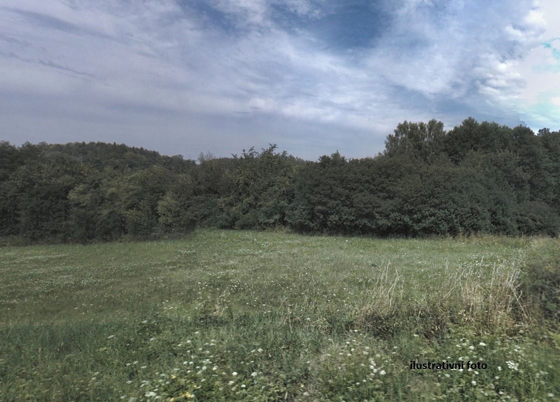Prodej zahrady 955 m² – fotografie 3