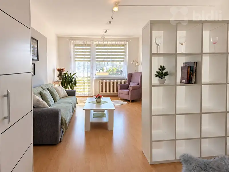 Prodej bytu 1+1 45 m², Šternberk – náhled fotky 2