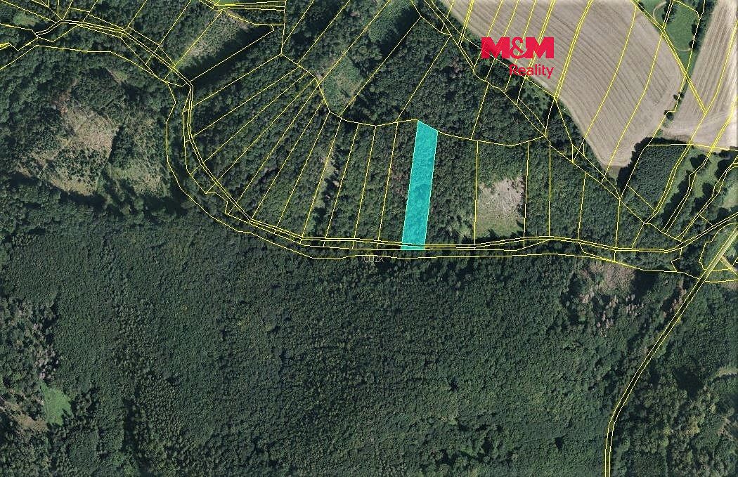 Prodej lesa 2021 m², Vranová Lhota – fotka 1 z 3