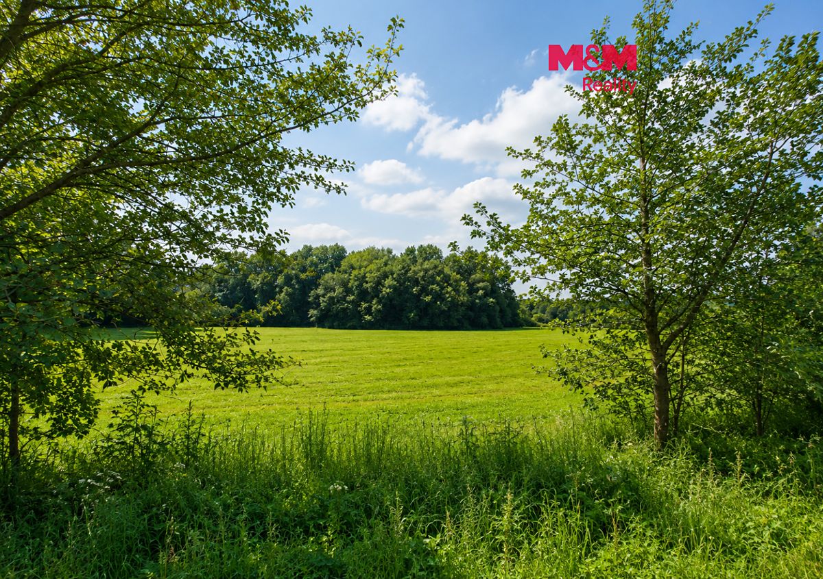 Prodej louky 4863 m², Petrovice – fotka 1 z 3