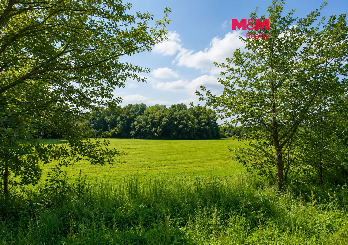 Prodej louky 4863 m²