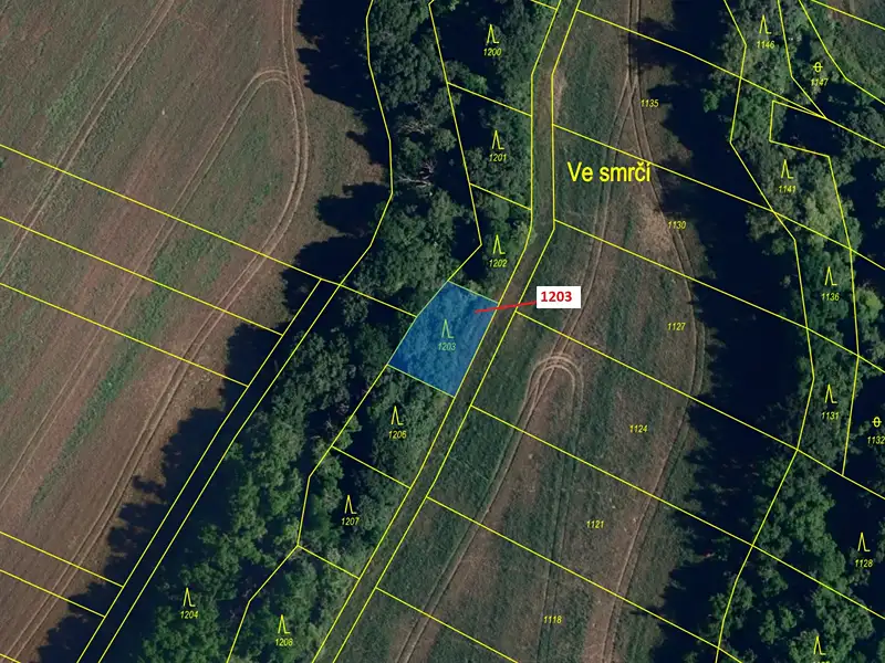 Dražba lesa 359 m², Babice u Rosic – náhled fotky 2