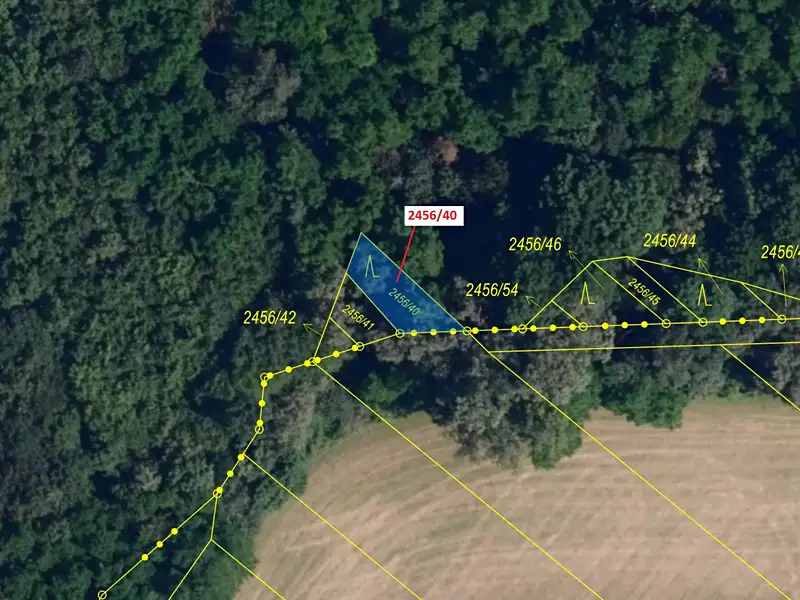 Dražba lesa 80 m², Oslavany – náhled fotky 2