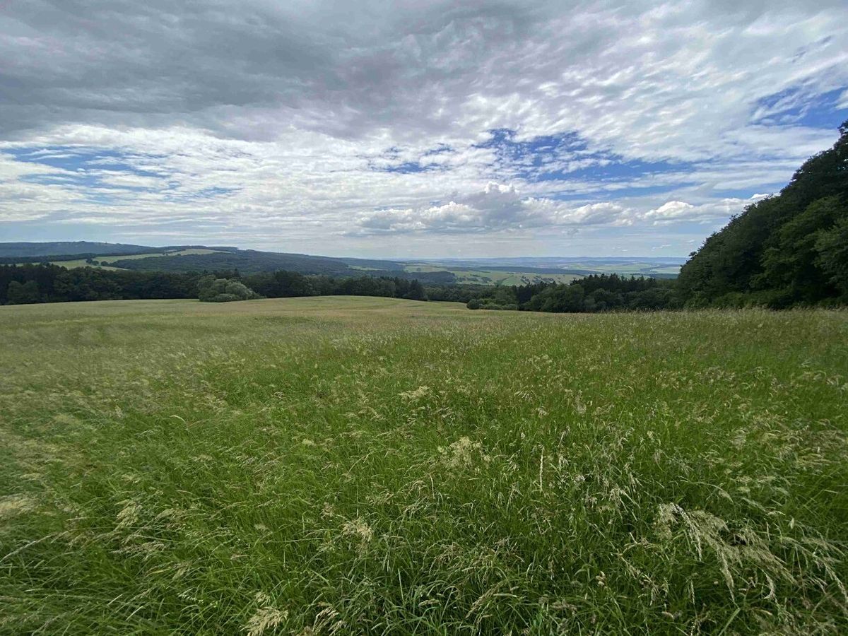 Dražba louky 7545 m², Korytná – fotka 1 z 3