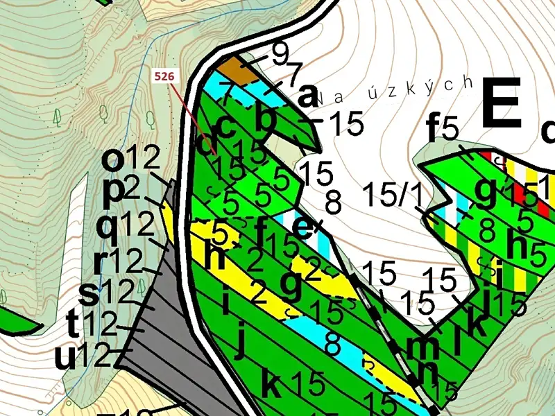 Dražba lesa 1796 m², Náměšť nad Oslavou – náhled fotky 3