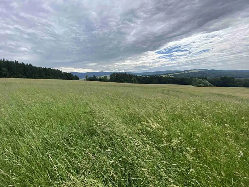 Dražba louky 7545 m², Korytná – náhled fotky 3