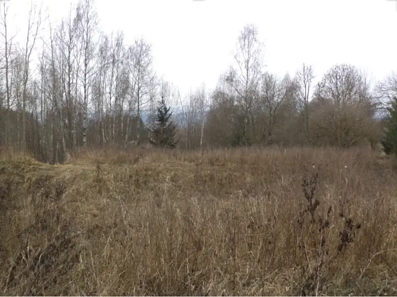 Dražba pozemku 1390 m², Horní Planá – náhled fotky 3
