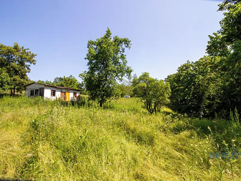 Prodej zahrady 10599 m², Praha – náhled fotky 3