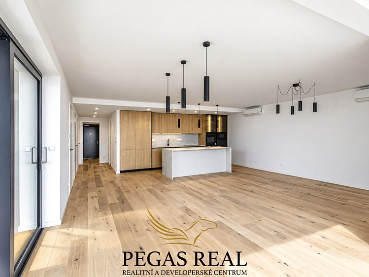 The 4+kk flat for sale, 131 m² (11 of 29)