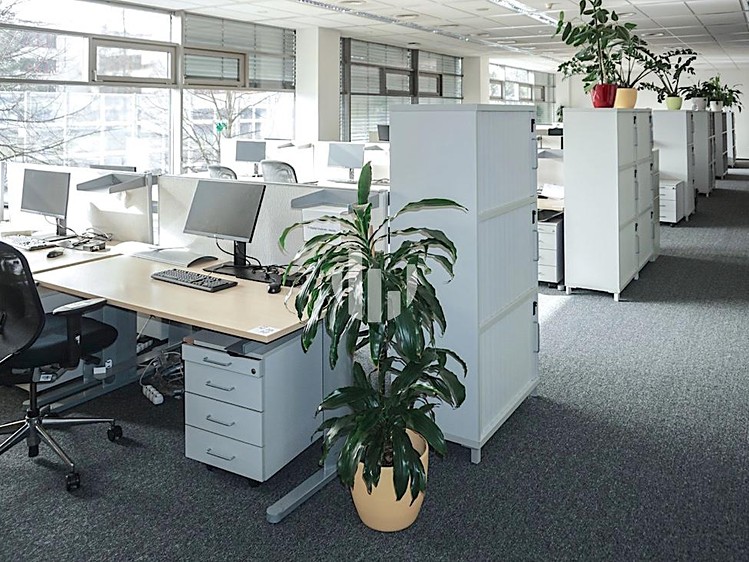 Pronájem komerčního prostoru, 1 000 m² (5 z 12)