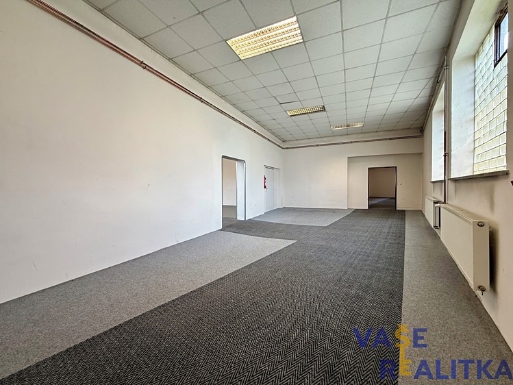 Pronájem komerčního prostoru, 370 m² (17 z 24)