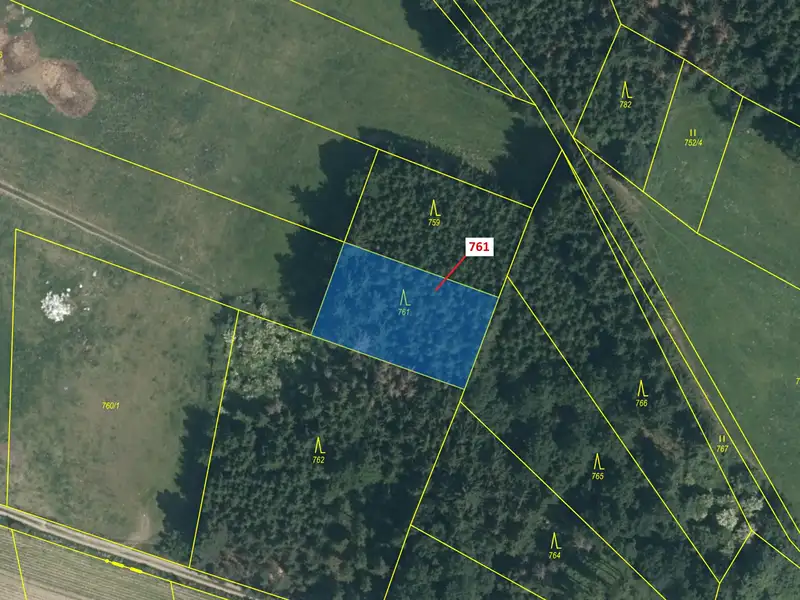 Dražba lesa 1092 m², Zvěstov – náhled fotky 2