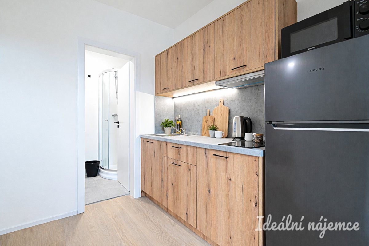 Pronájem bytu 1+1 25 m² – fotografie 4