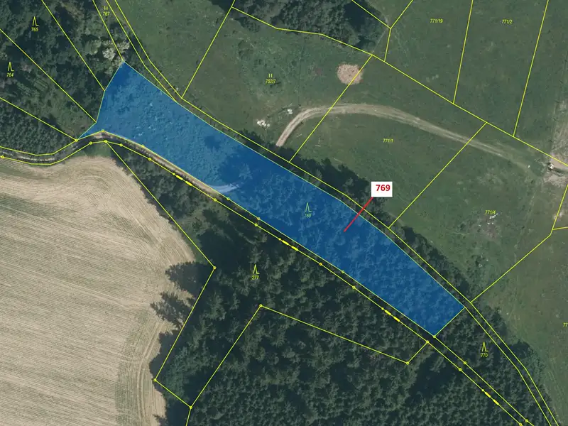 Dražba lesa 4745 m², Zvěstov – náhled fotky 2