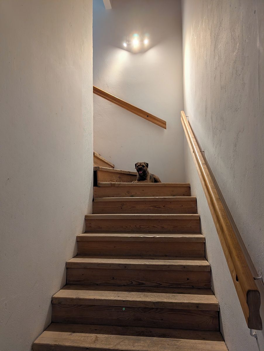 Pronájem rodinného domu 200 m², pozemek 350 m² – fotografie 4