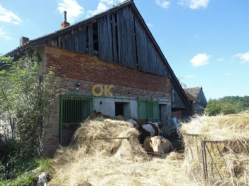 Dražba rodinného domu 363 m², pozemek 57387 m², Lanžov – náhled fotky 3