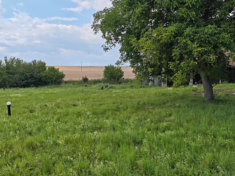 Prodej pozemku, 1 000 m² (6 z 6)