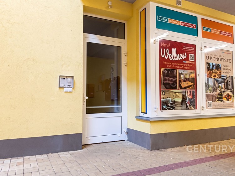 Квартира 1+kk в оренду, 44 м² (11 з 13)