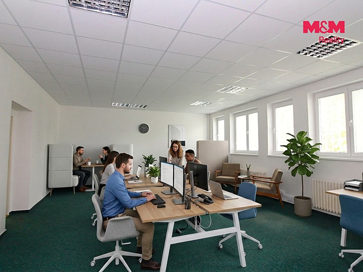 Комерційне приміщення в оренду, 215 м² (7 з 24)