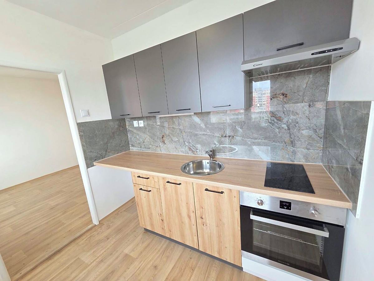 Pronájem bytu 2+1 49 m² – fotografie 3