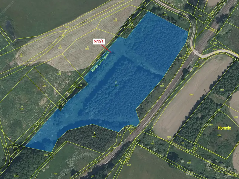 Dražba lesa 13245 m², Radomyšl – náhled fotky 2