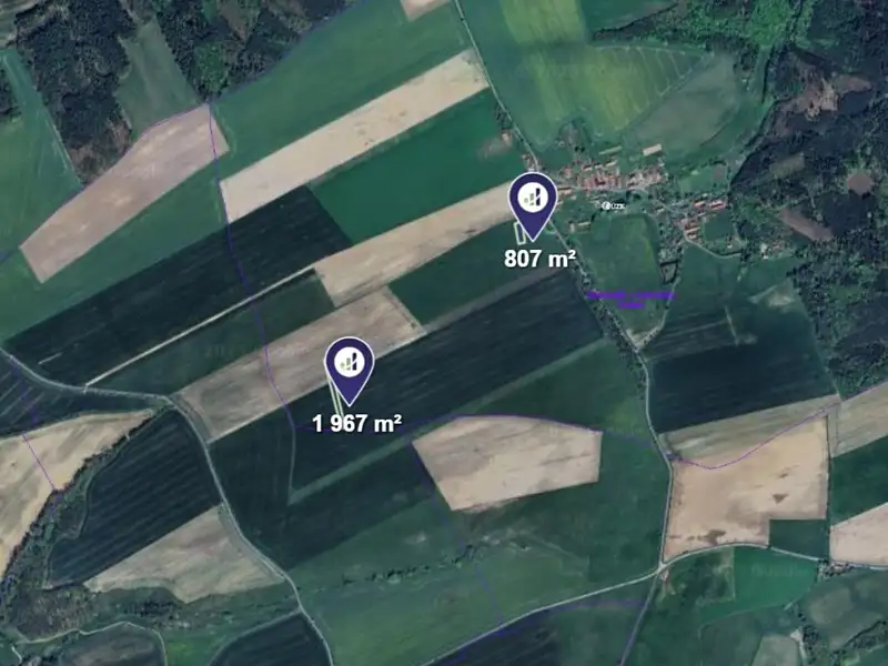 Prodej pole 2774 m², Hřebečníky – náhled fotky 3