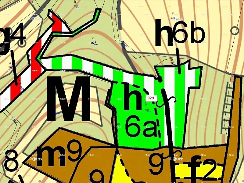 Dražba lesa 5736 m², Zálezly – náhled fotky 3