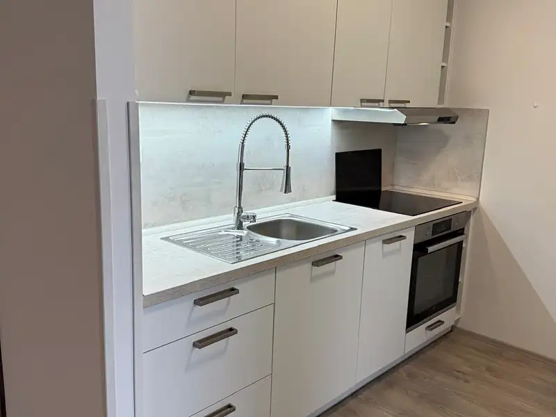 Pronájem bytu 1+kk 34 m², Lovosice – náhled fotky 3