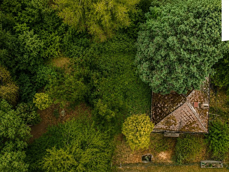 Grundstück zum Kauf, 1.165 m² (6 von 15)