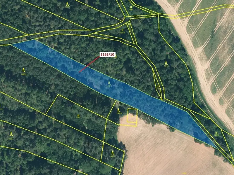 Dražba lesa 4694 m², Jesenice – náhled fotky 2