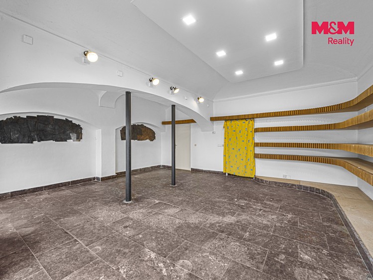 Prodej komerčního prostoru, 180 m² (4 z 30)