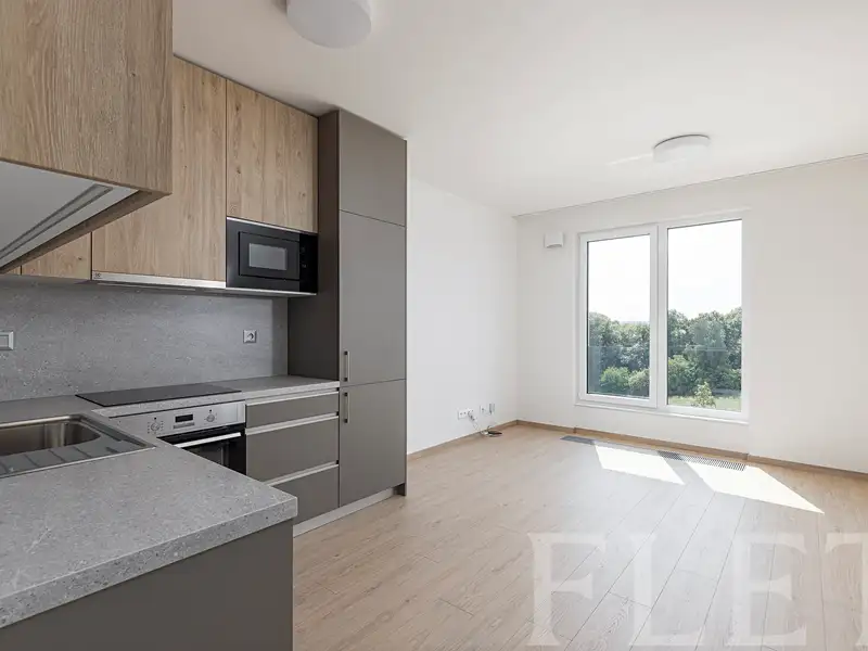 Pronájem bytu 2+kk 47 m², Praha – náhled fotky 1