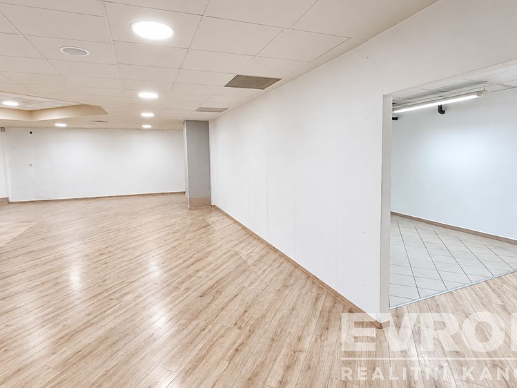 Pronájem komerčního prostoru, 132 m² (7 z 8)