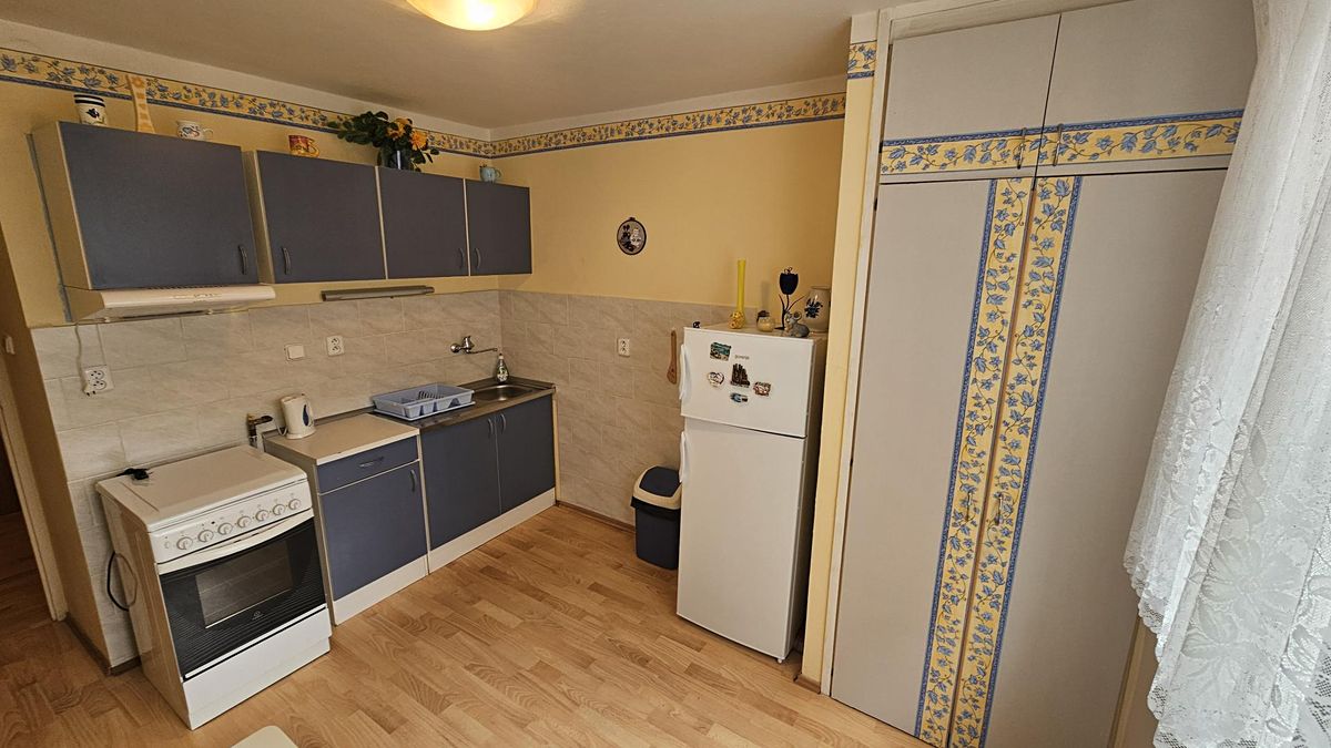 Pronájem bytu 1+1 47 m²