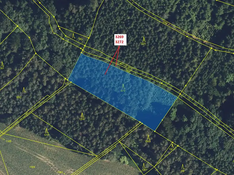 Dražba lesa 3183 m², Oucmanice – náhled fotky 2
