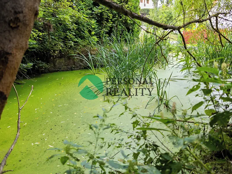 Prodej rodinného domu 307 m², pozemek 3957 m², Drhovy – náhled fotky 3