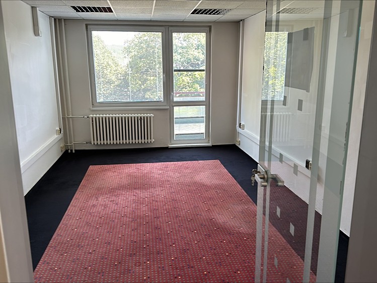 Комерційне приміщення в оренду, 363 м² (5 з 11)