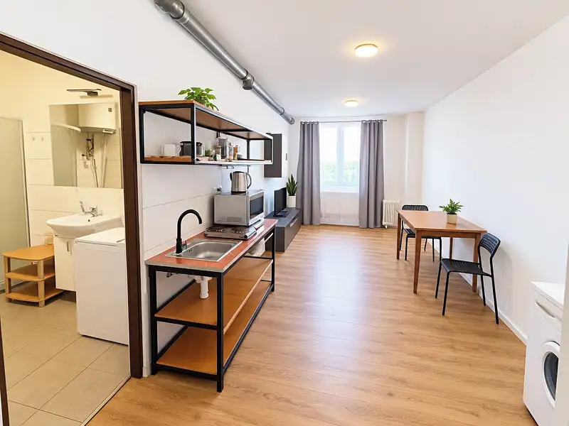 Pronájem bytu 3+kk 50 m², Měřín – náhled fotky 1
