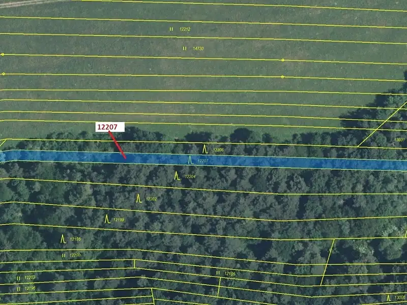 Dražba lesa 1163 m², Strání – náhled fotky 2