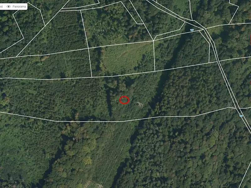 Prodej lesa 48718 m², Lichnov – náhled fotky 3