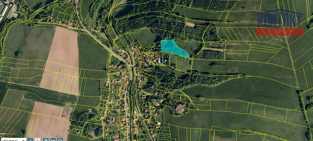 Prodej lesa 7376 m²
