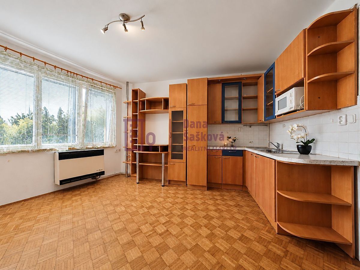 Pronájem bytu 1+kk 25 m², Jindřichův Hradec – fotka 1 z 3