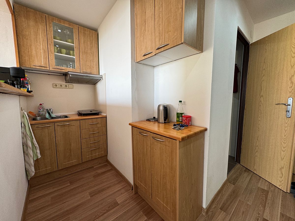 Pronájem bytu 1+kk 31 m² – fotografie 4