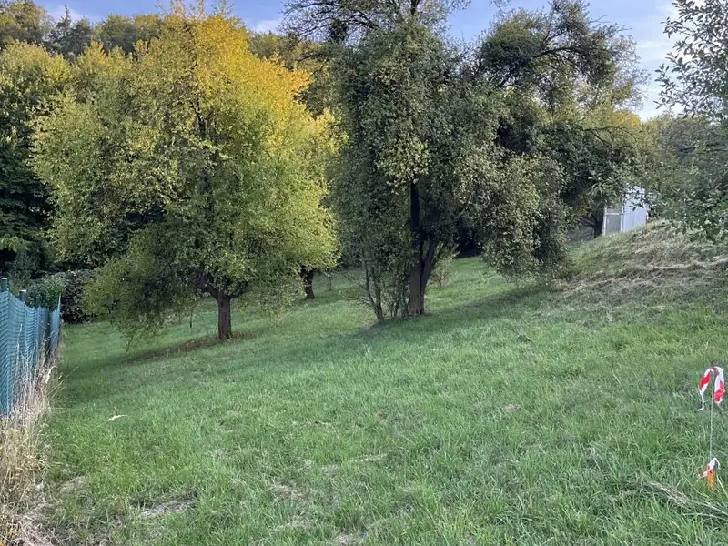 Prodej stavebního pozemku 1379 m², Olomučany – náhled fotky 2