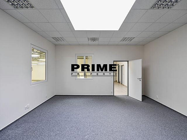 Pronájem komerčního prostoru, 1 395 m² (12 z 28)