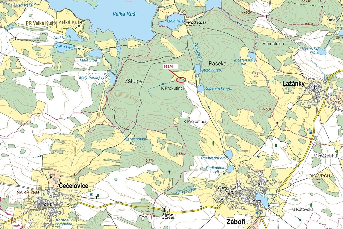 Dražba lesa 185 m², Záboří – fotka 1 z 3