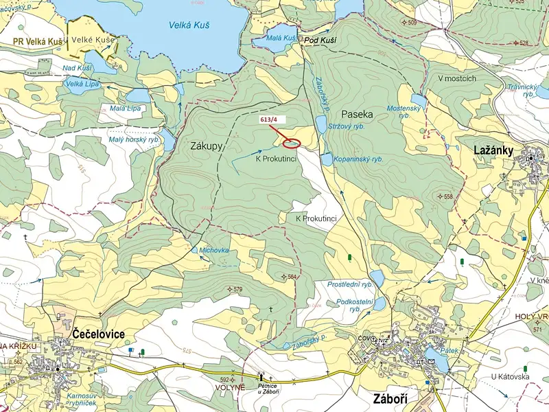 Dražba lesa 185 m², Záboří – náhled fotky 1