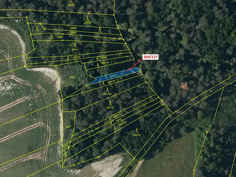 Dražba lesa 186 m², Břežany – náhled fotky 2