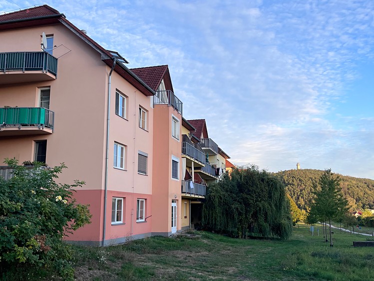 Ostatní